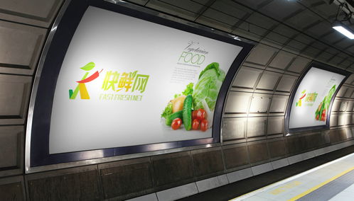 北京logo設計公司 互聯(lián)網果蔬食品logo設計及vi設計欣賞